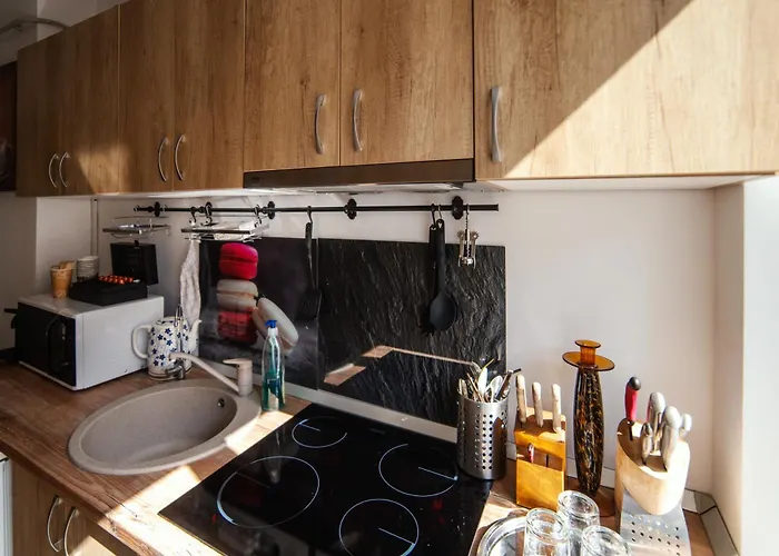 Complex Living 公寓式酒店 蒂米什瓦拉